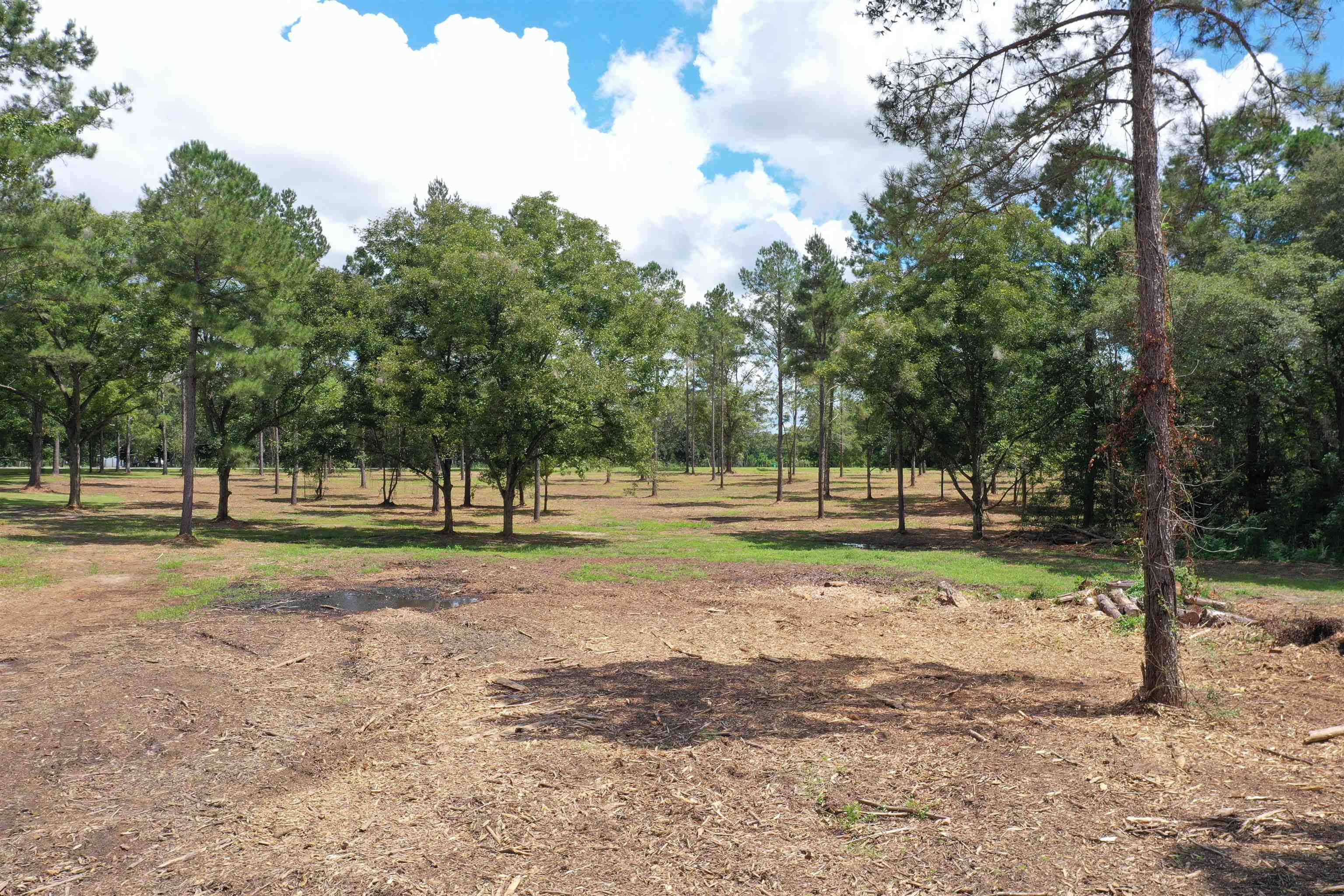 Xxx Salem Road Quincy, FL 32352 - Photo 4 of 18 Gallery Image 4