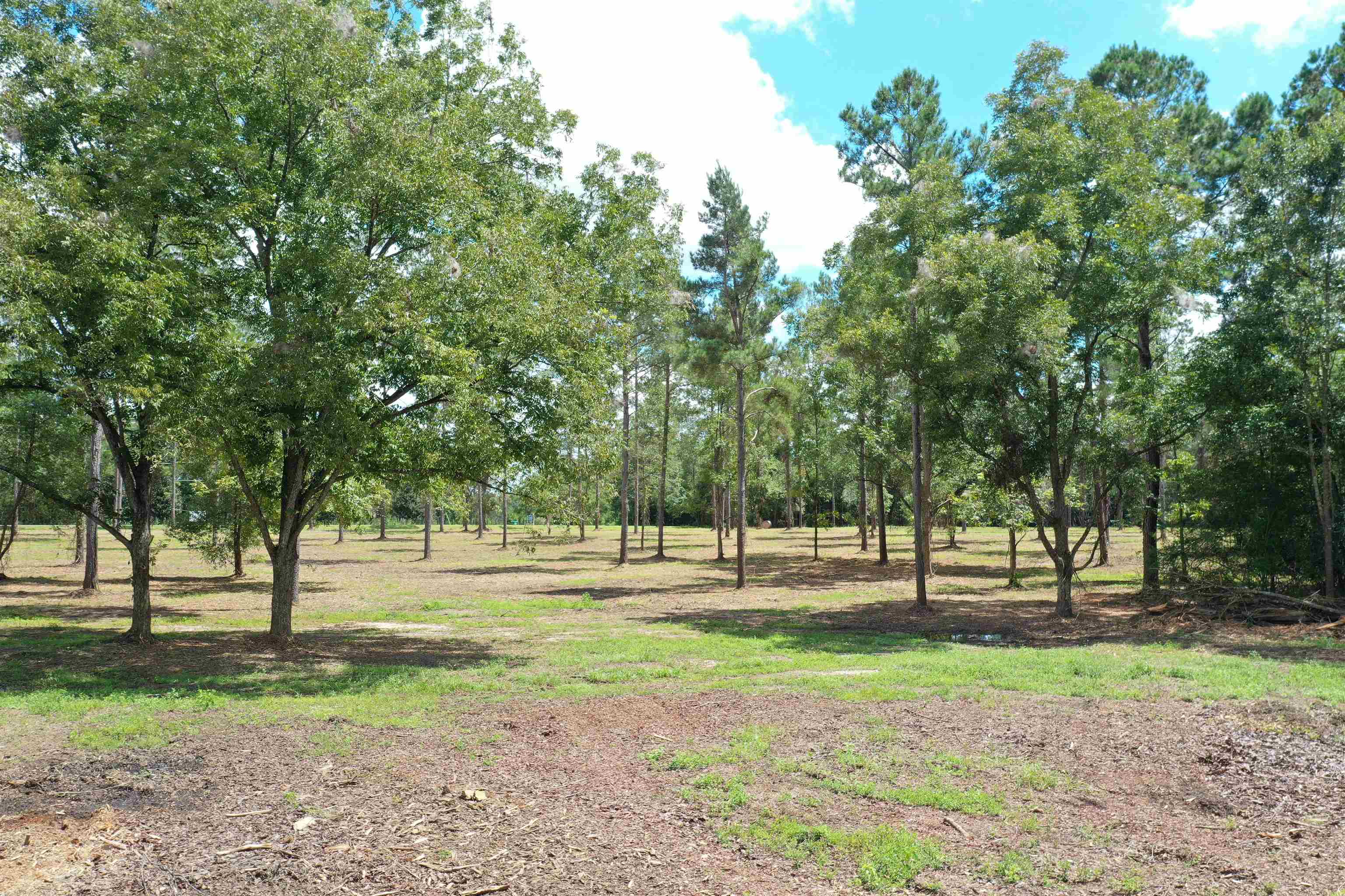 Xxx Salem Road Quincy, FL 32352 - Photo 5 of 18 Gallery Image 5