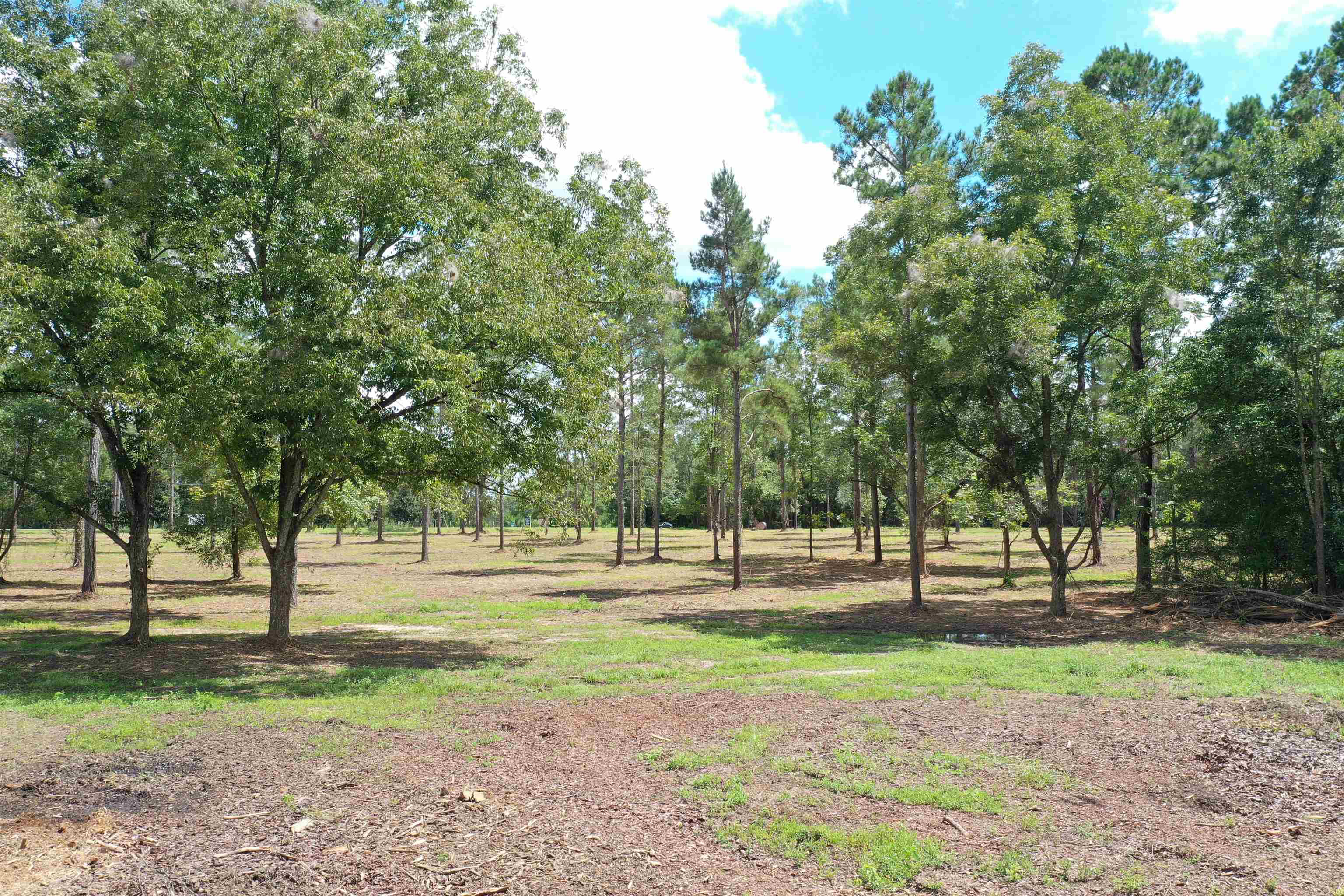 Xxx Salem Road Quincy, FL 32352 - Photo 6 of 18 Gallery Image 6