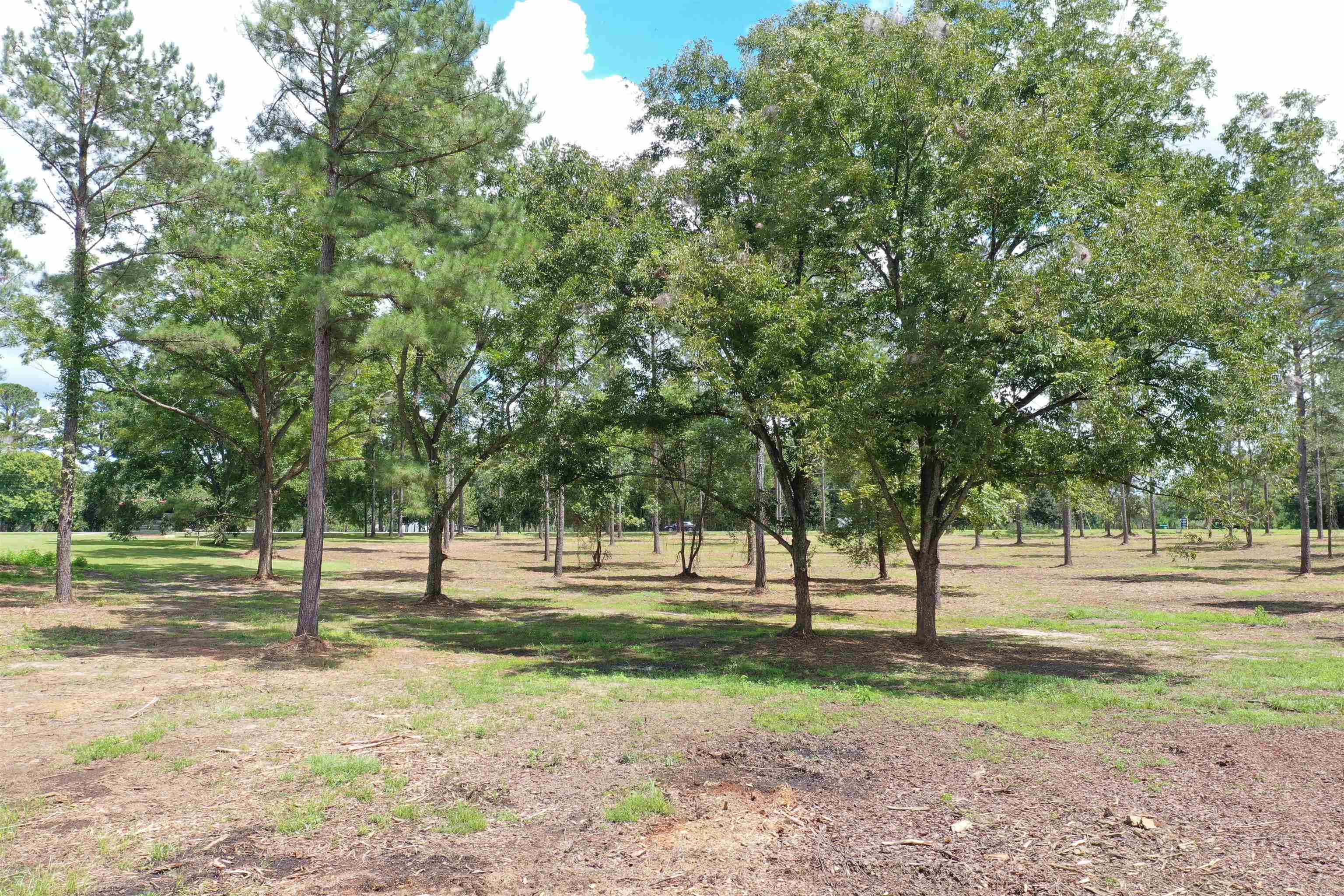 Xxx Salem Road Quincy, FL 32352 - Photo 7 of 18 Gallery Image 7