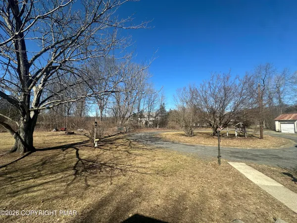a view of empty space with large trees
