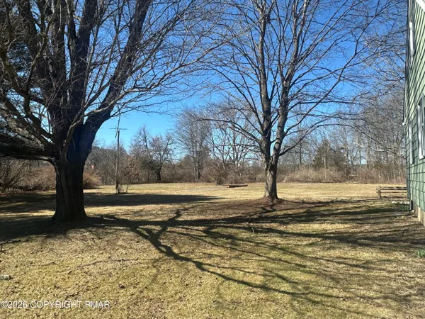 a view of a yard with tree s