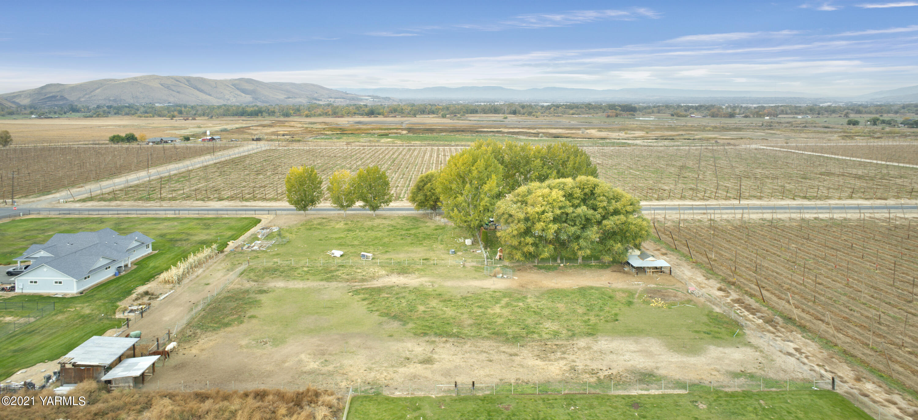 3131 Birchfield Road Moxee, WA 98936 - Photo 8 of 24 211015_Hanson_BirtchfieldRd_Moxee_08
