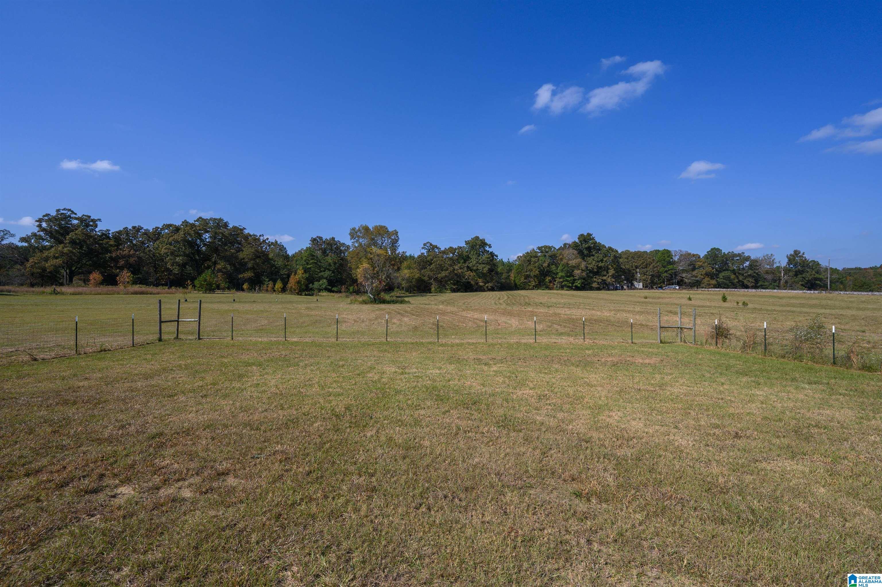 277 Jackson Farm Road Wilsonville, AL 35186 - Photo 48 of 68