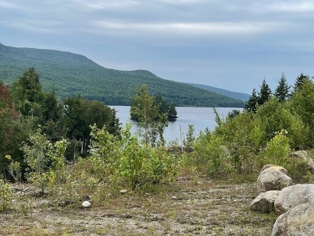 6493 Hurricane Road, Unit LOT1 Norton, VT 05907 - Photo 2 of 9