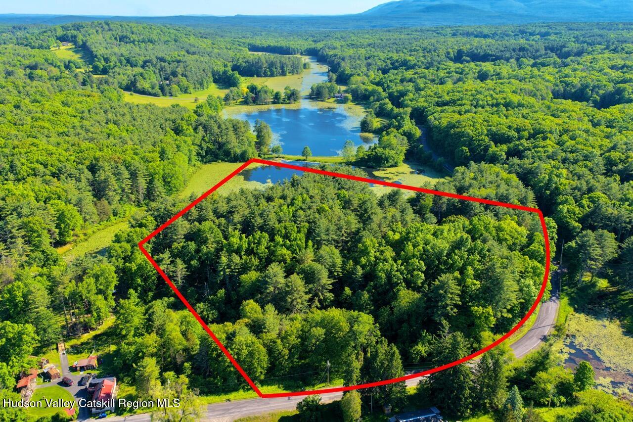 177 Webber Road Earlton, NY 12058 - Photo 48 of 50 an aerial view of a house with a yard