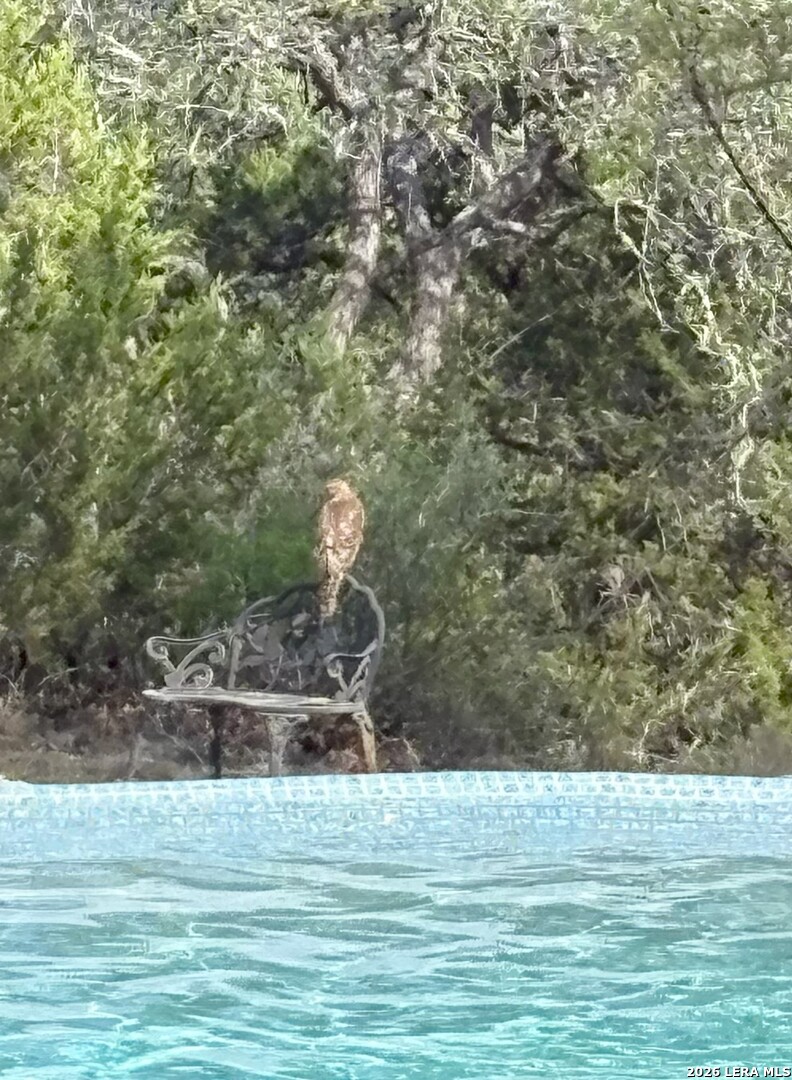 752 Taylor Bulverde, TX 78163 - Photo 77 of 77