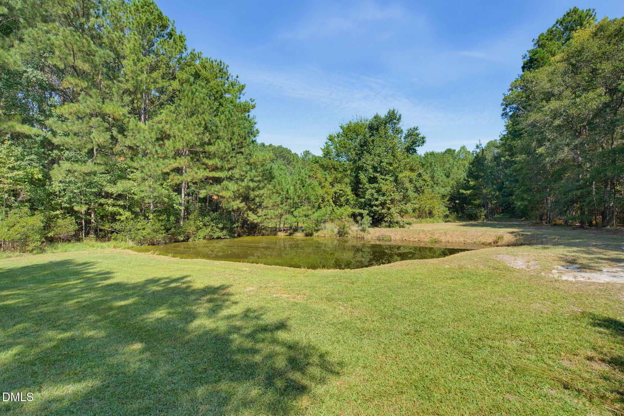 705 Thanksgiving Fire Road Selma, NC 27576 - Photo 7 of 41 Pond