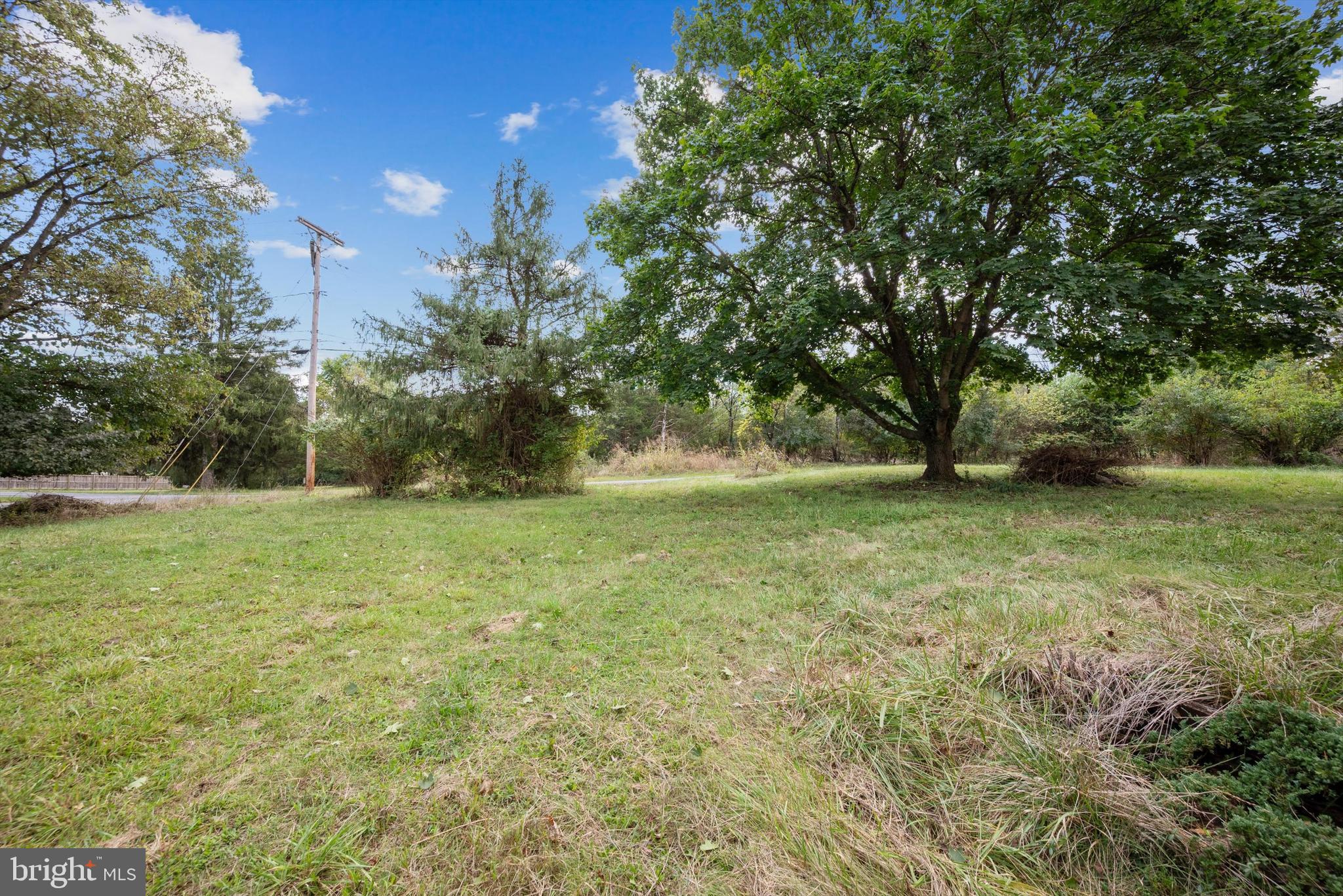 100 Washington Street Inwood, WV 25428 - Photo 5 of 15 a view of outdoor space with trees all around