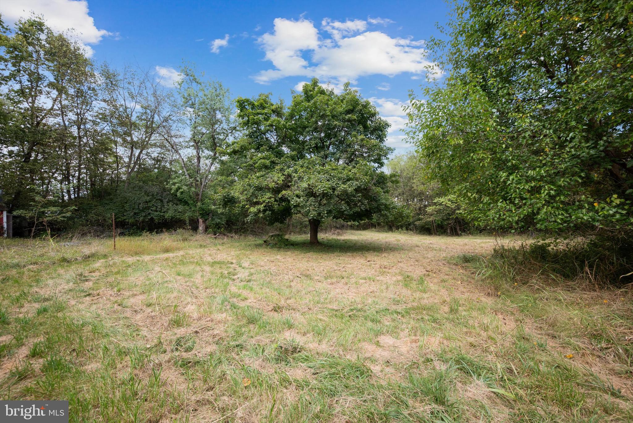 100 Washington Street Inwood, WV 25428 - Photo 6 of 15 a view of outdoor space and yard