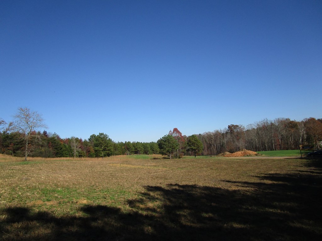 0 Hwy 163 Riceville Tn 37370 Riceville, TN 37370 - Photo 6 of 11