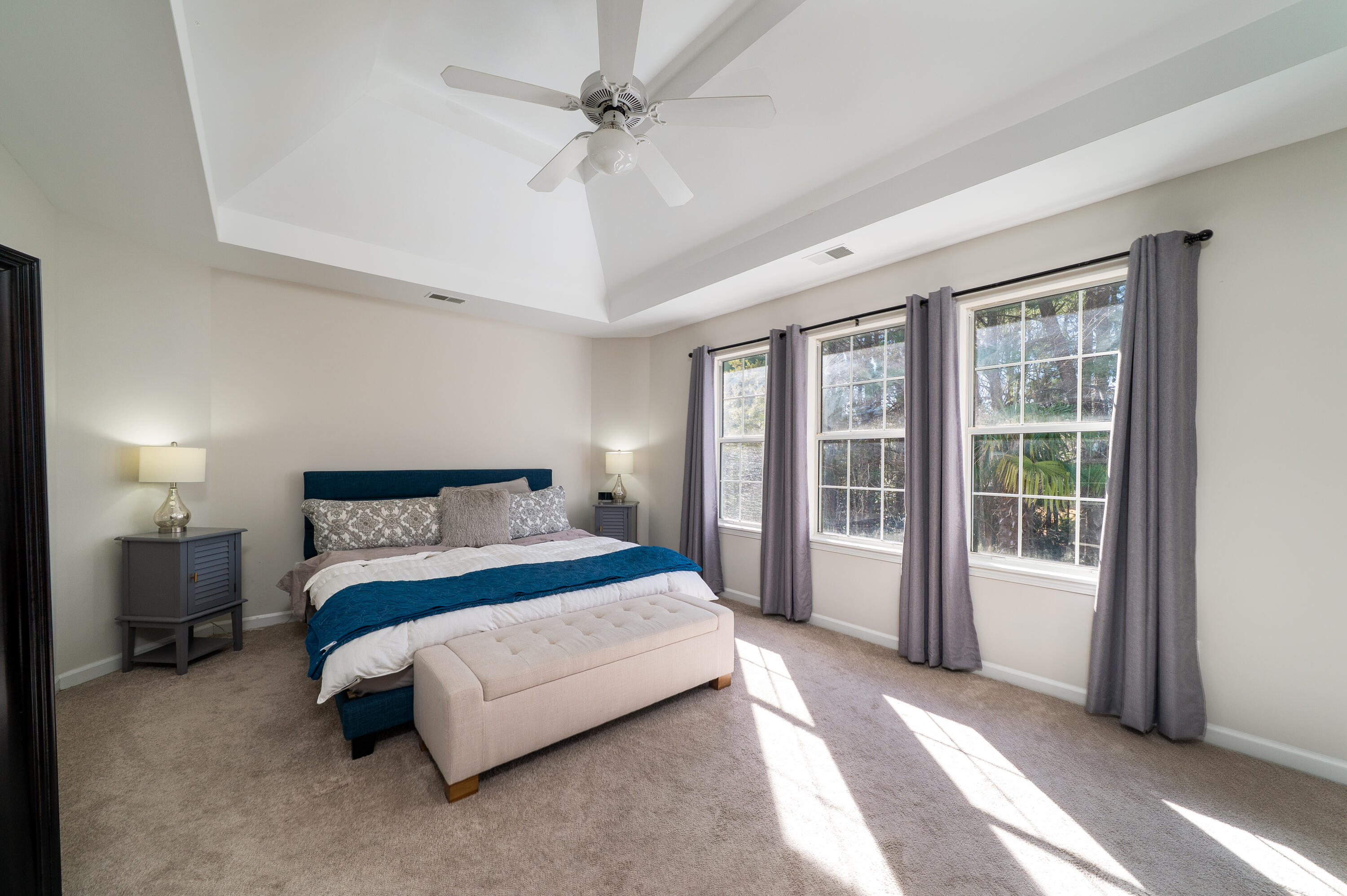 2876 Colonnade Drive Mount Pleasant, SC 29466 - Photo 11 of 39 Primary Bedroom