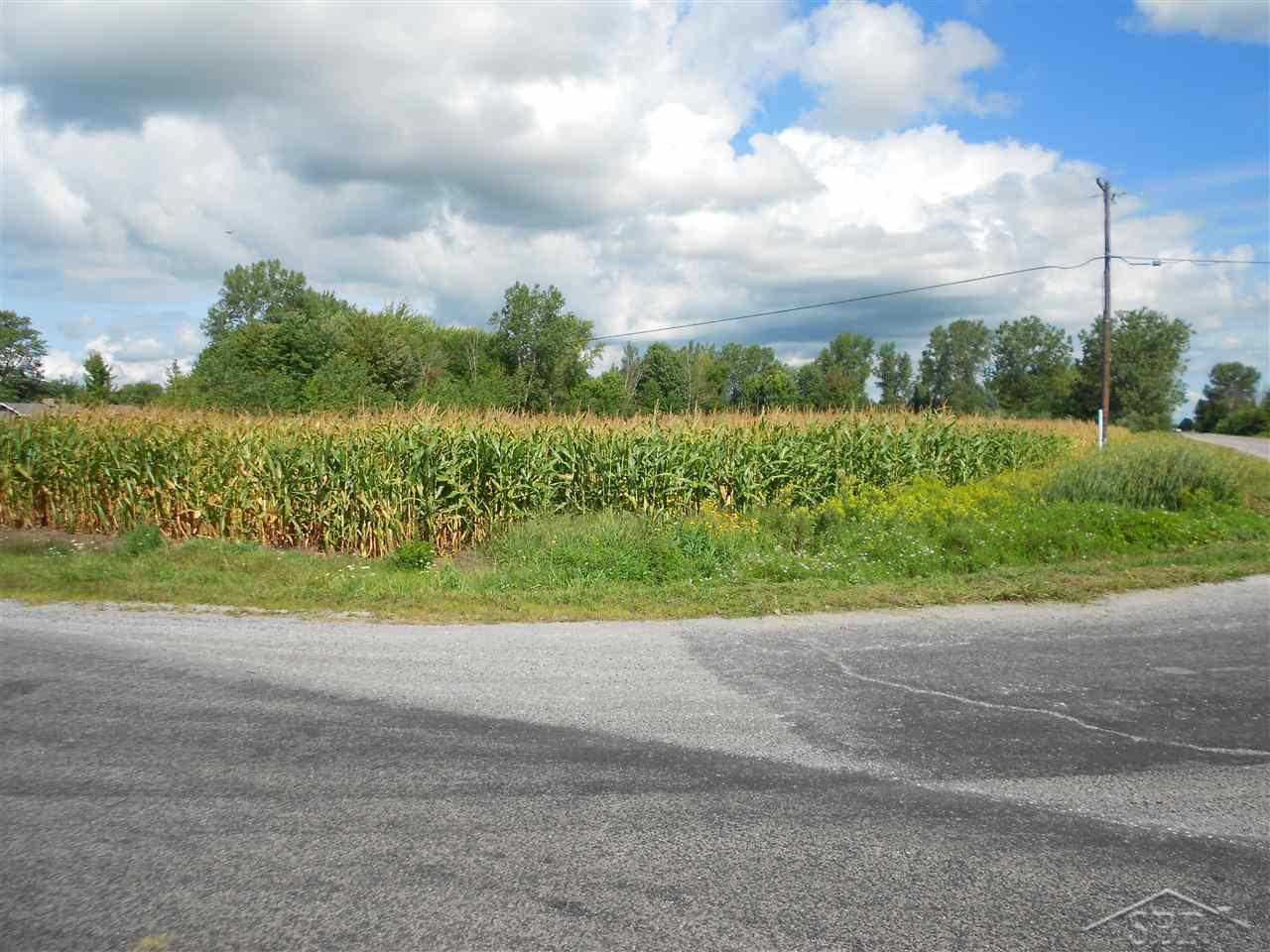 V/l Hotchkiss Road Freeland, MI 48623 - Photo 3 of 3