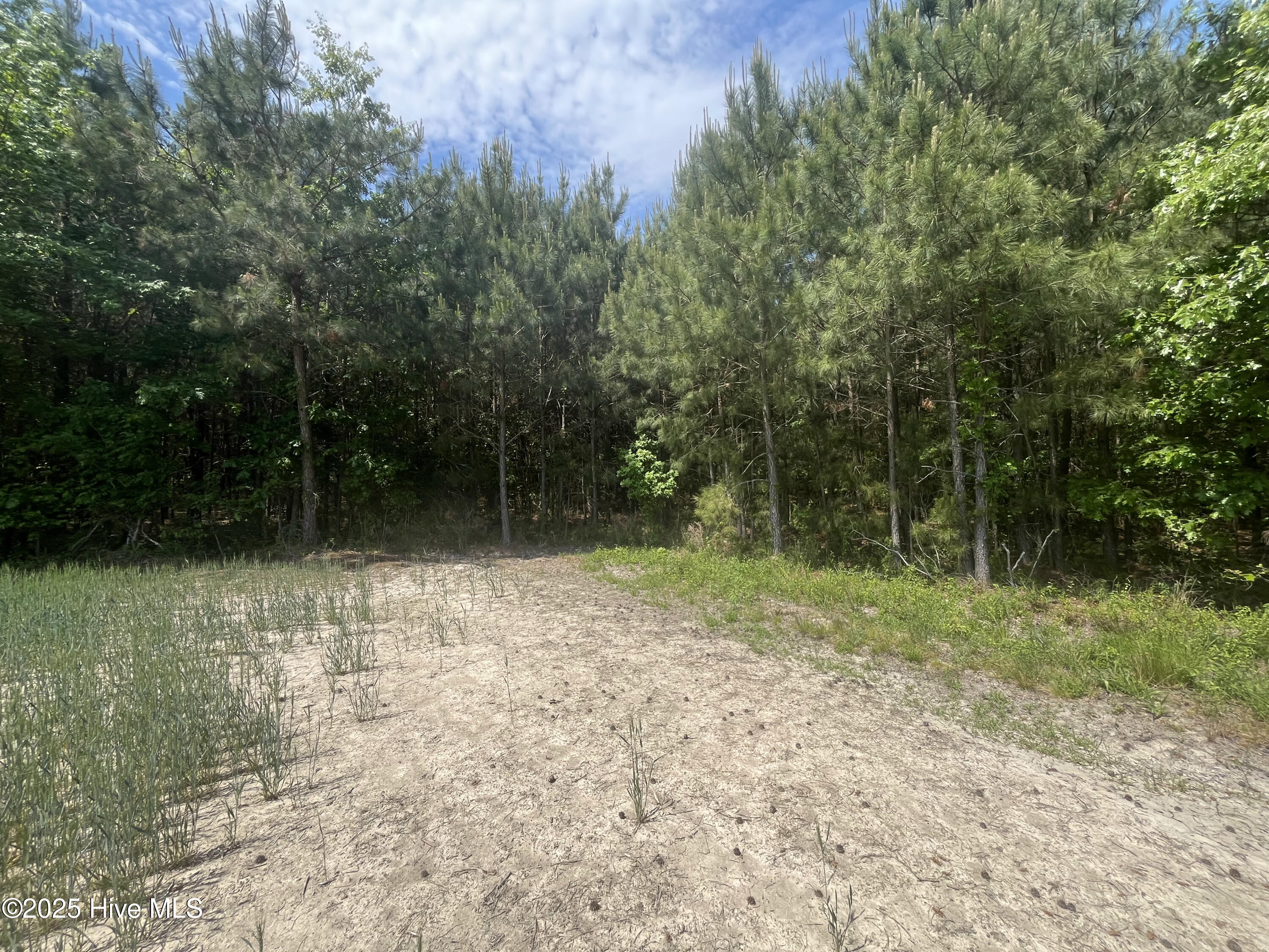 0 Clayhill Road Gatesville, NC 27938 - Photo 9 of 9 9_photo--clayhill-road