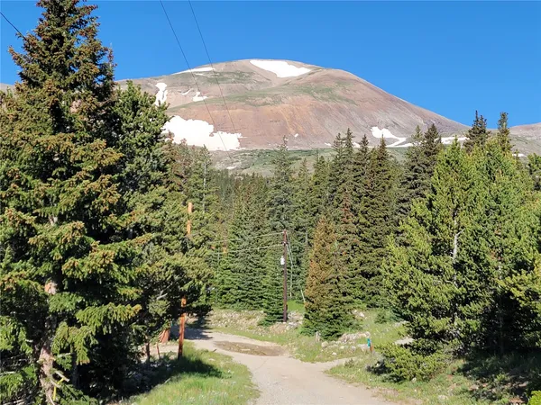 $95,000 | 22 Ron's Road, Alma, CO 80420