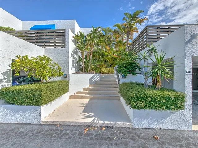 a view of a garden with plants