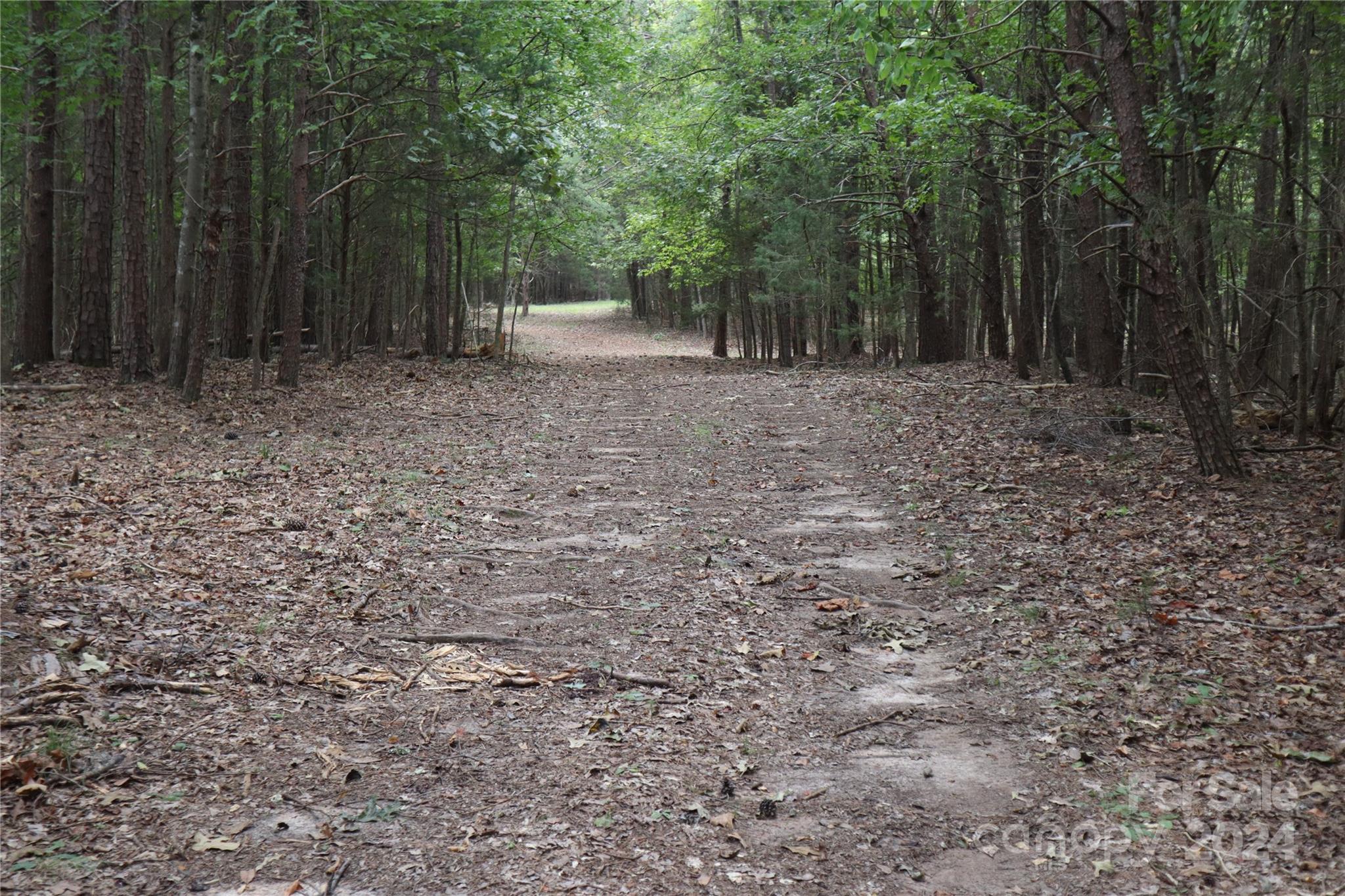 0 Parson Road McConnells, SC 29726 - Photo 13 of 13