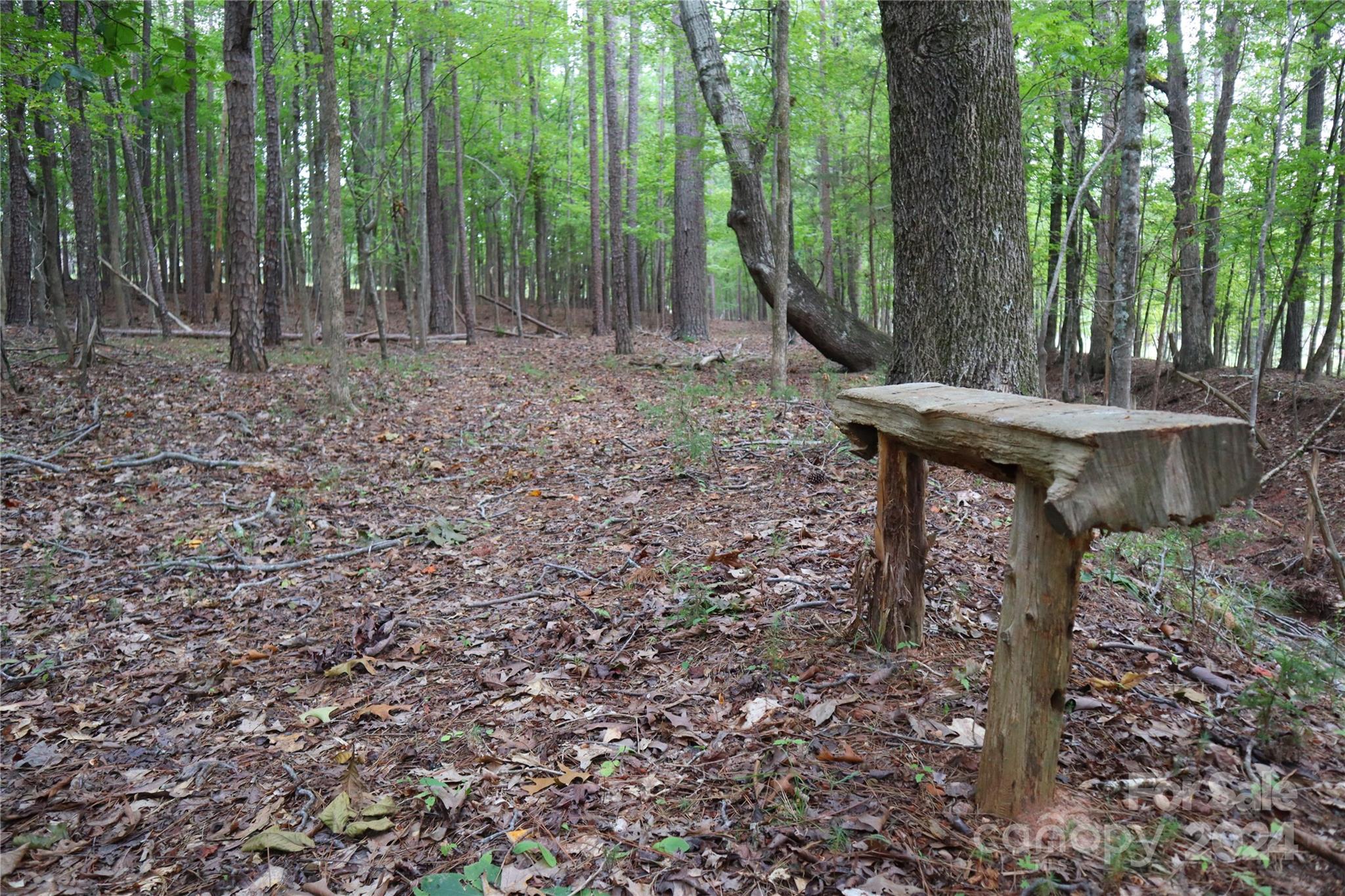 0 Parson Road McConnells, SC 29726 - Photo 4 of 13