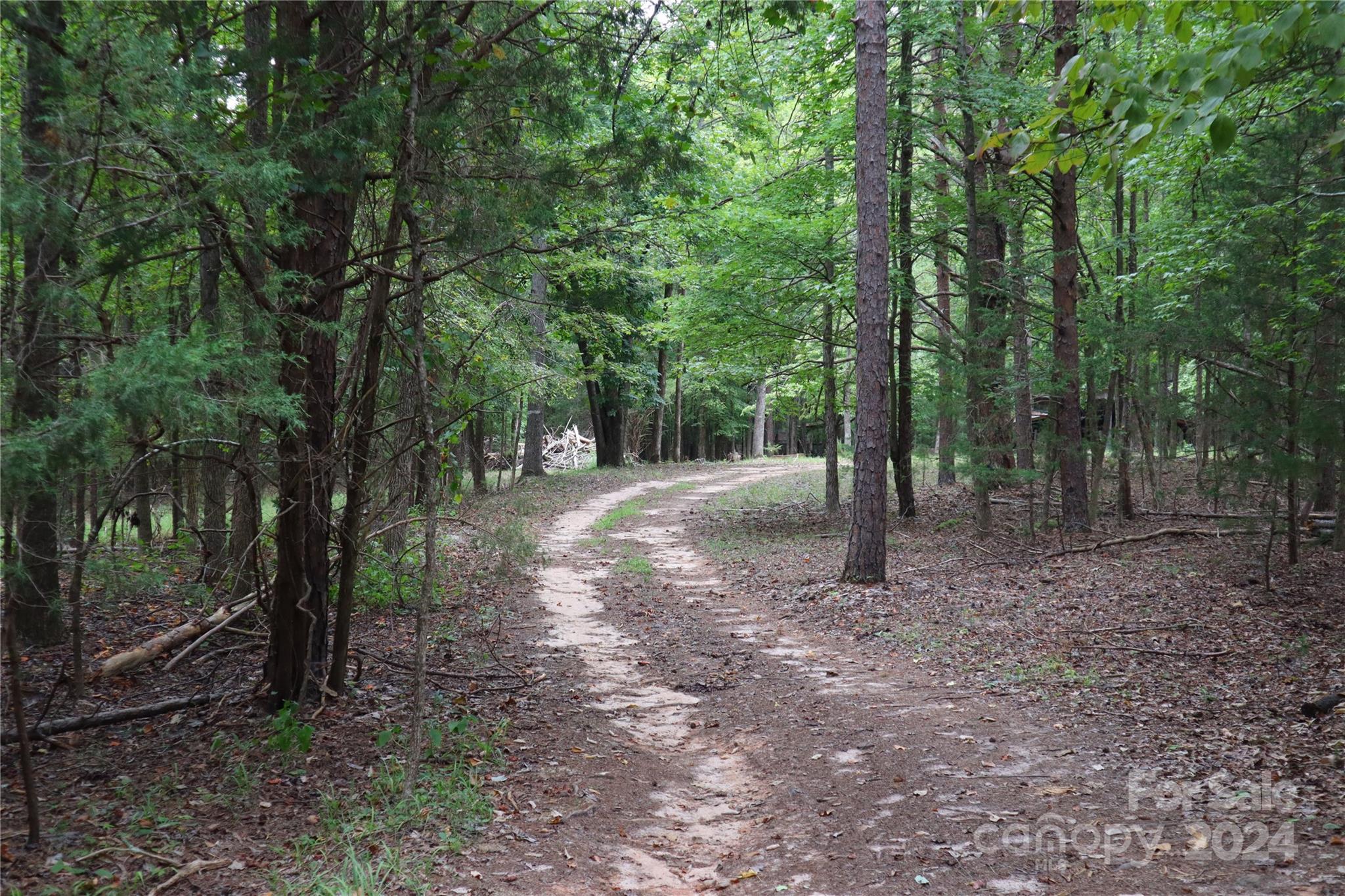 0 Parson Road McConnells, SC 29726 - Photo 6 of 13