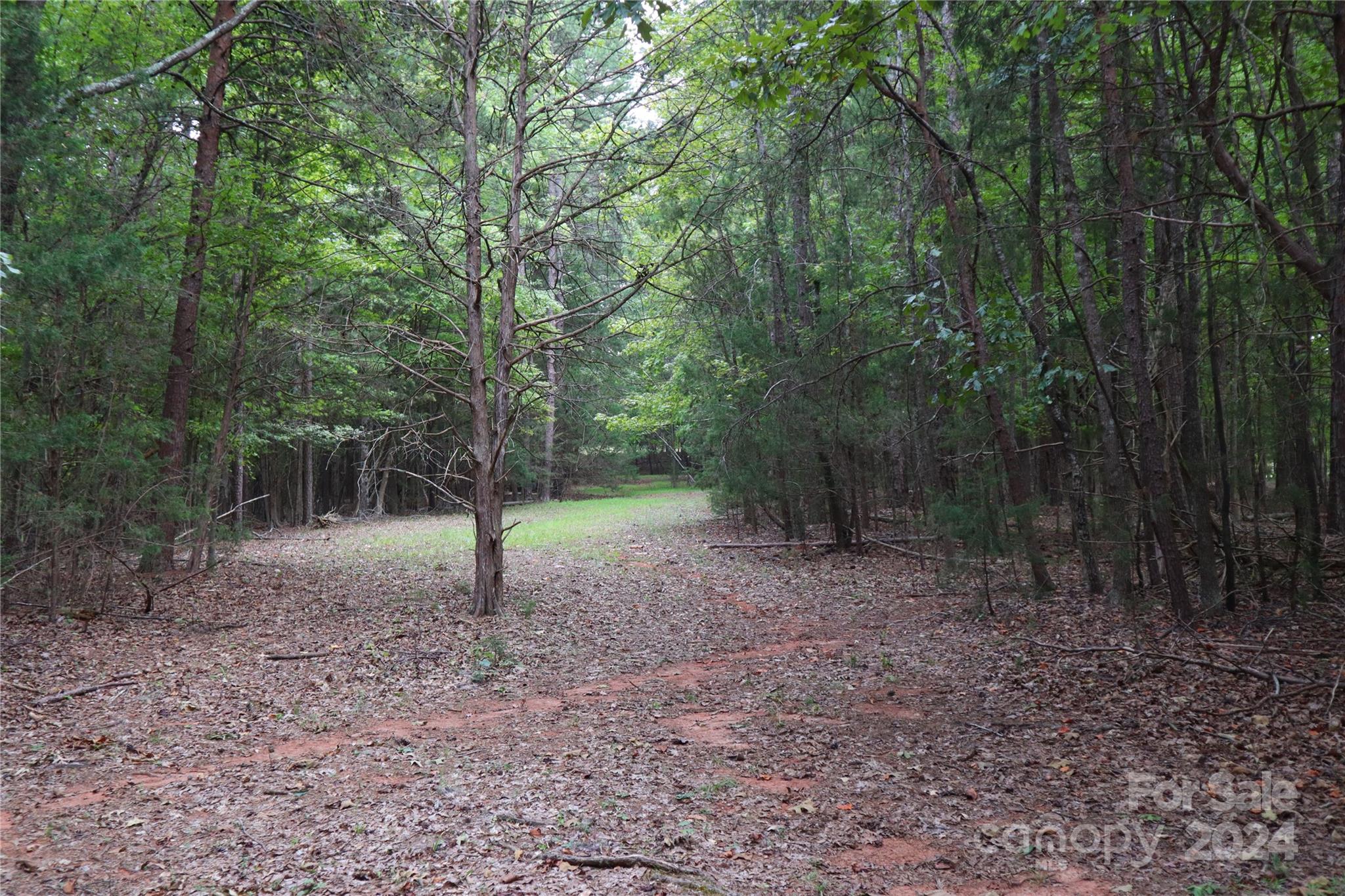 0 Parson Road McConnells, SC 29726 - Photo 7 of 13