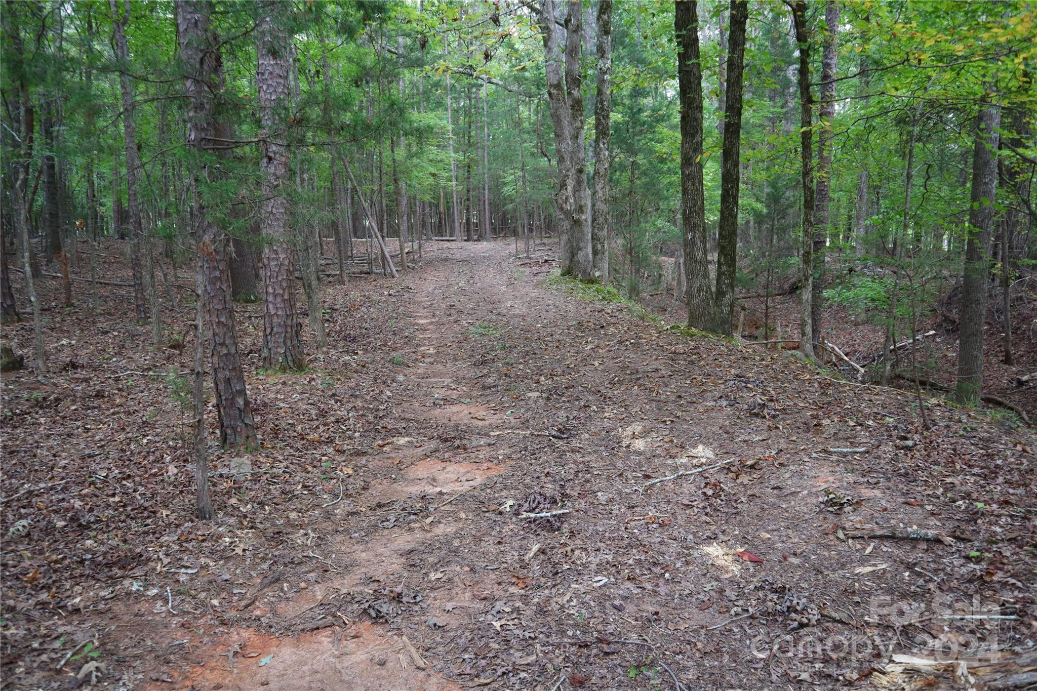 0 Parson Road McConnells, SC 29726 - Photo 9 of 13