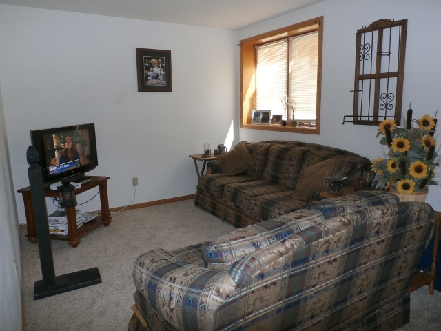 206 Roy Avenue Rochelle, IL 61068 - Photo 11 of 16