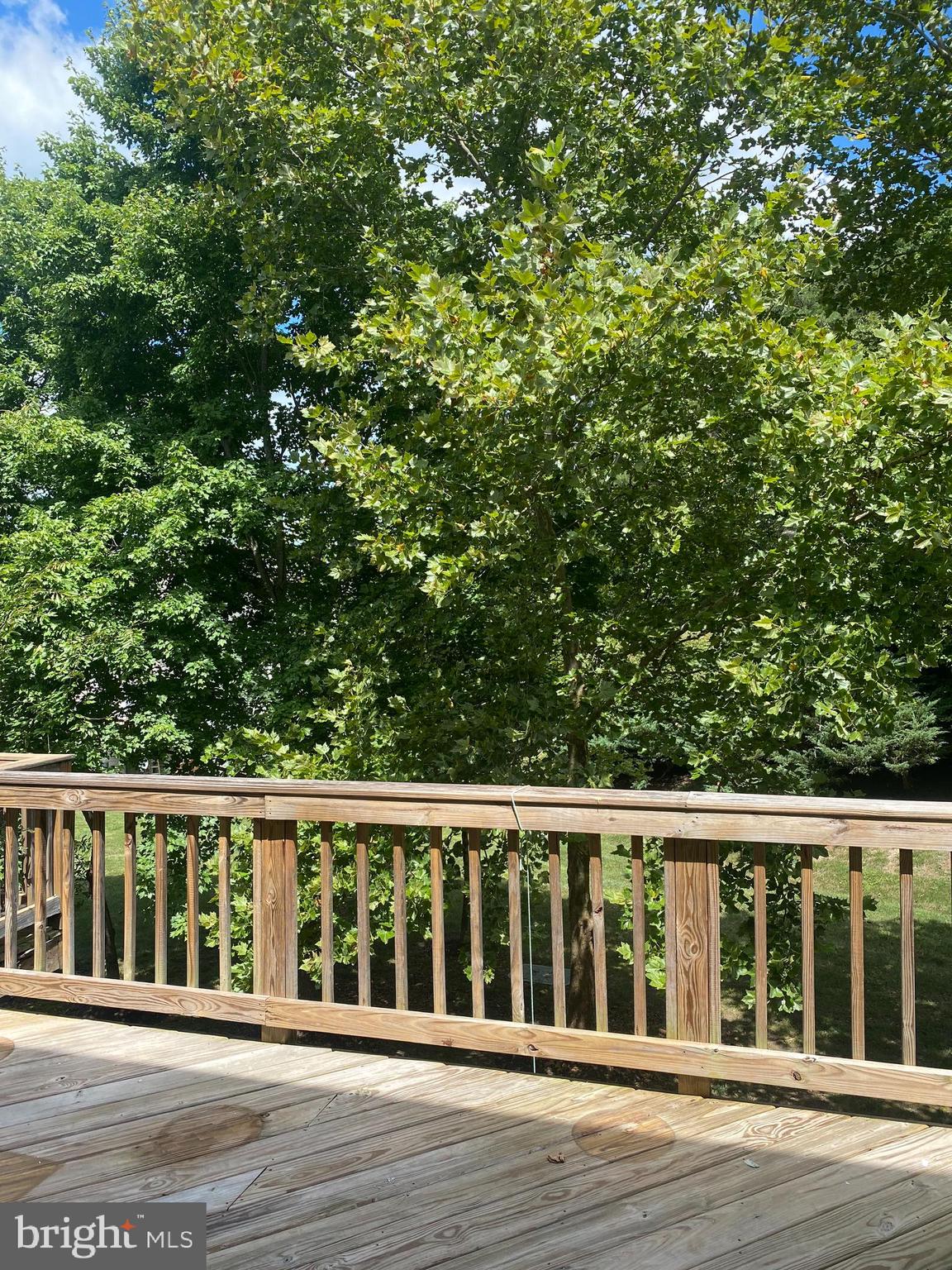 12307 Newcastle Loop Woodbridge, VA 22192 - Photo 11 of 15 Trees trees trees