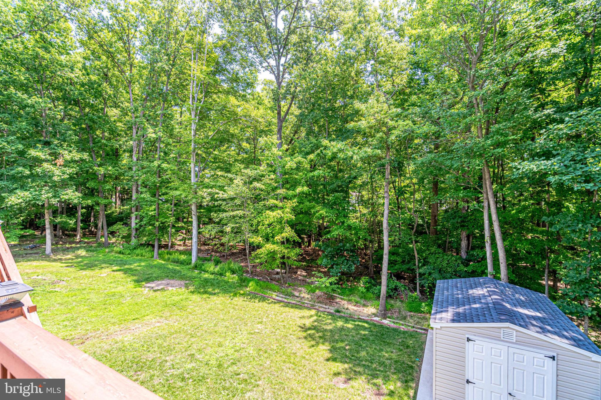 8481 Magic Tree Court Springfield, VA 22153 - Photo 5 of 48 Gallery Image 5