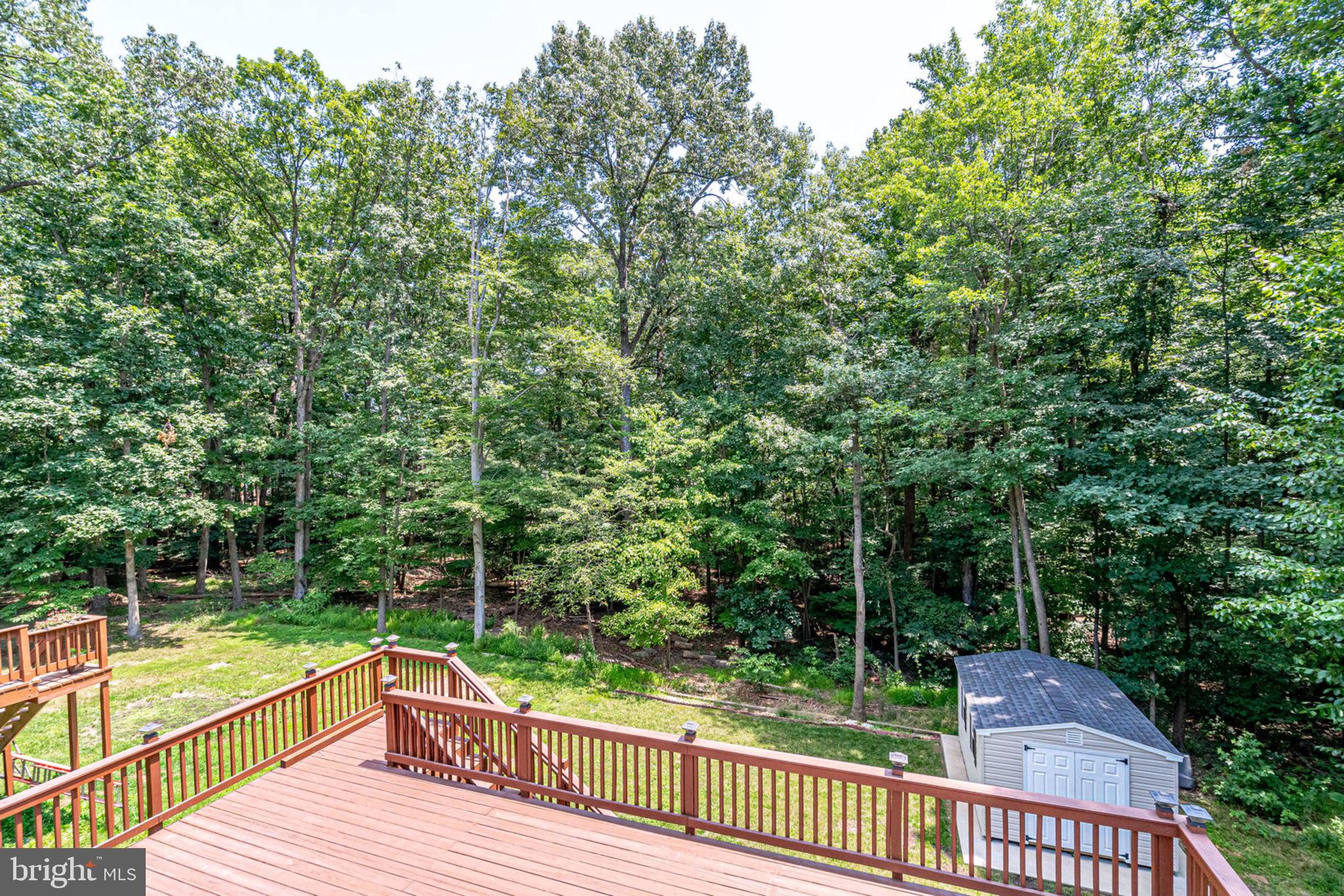 8481 Magic Tree Court Springfield, VA 22153 - Photo 44 of 48 Gallery Image 44