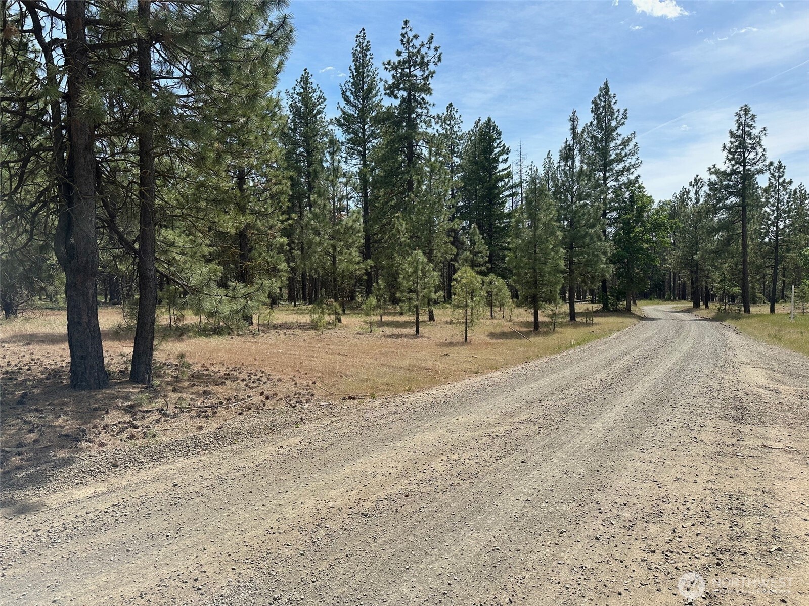 0 Pipeline Road Goldendale, WA 98620 - Photo 1 of 4 a view of outdoor space with trees