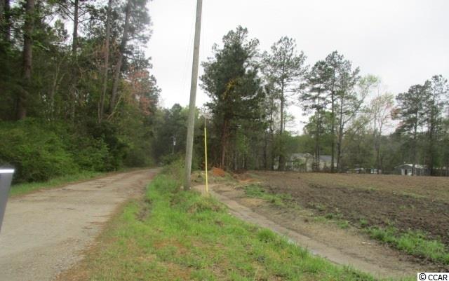 2784 Wise Road Conway, SC 29526 - Photo 2 of 12 Gallery Image 2