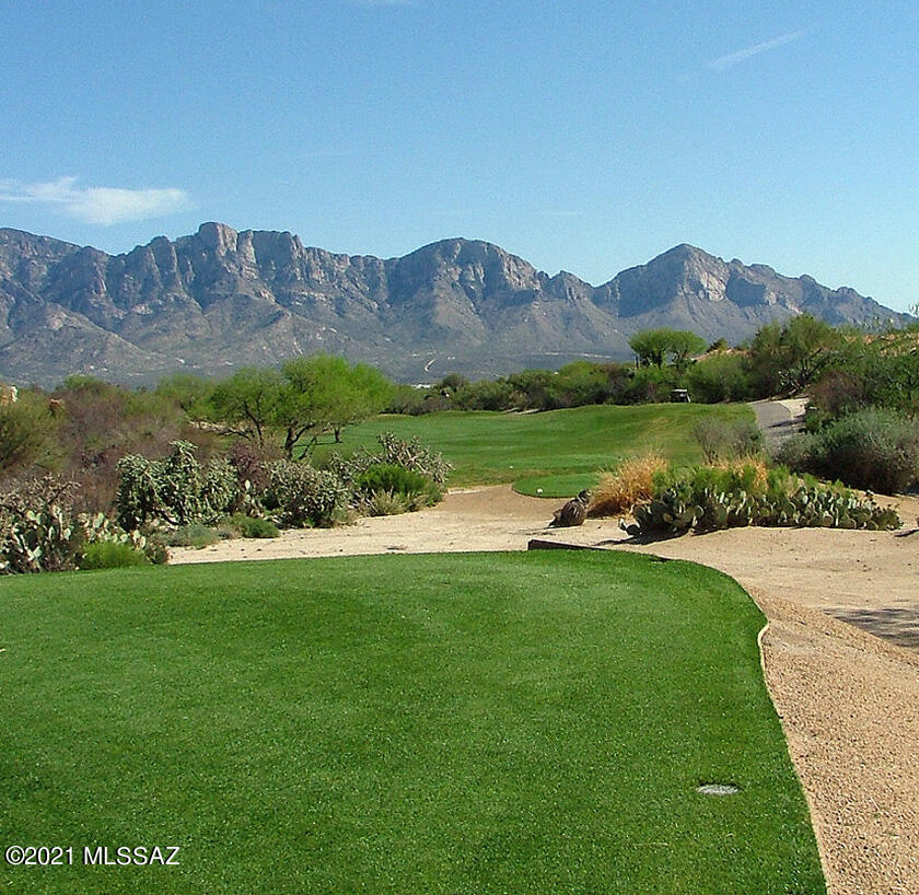 13778 North Buster Spring Way Tucson, AZ 85755 - Photo 47 of 50