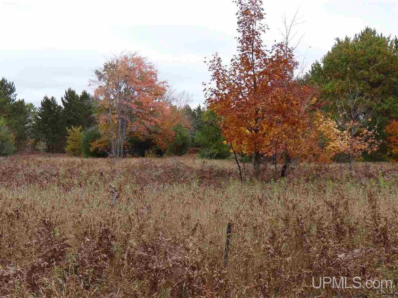 Tbd Traprock Valley Road Calumet, MI 49913 - Photo 9 of 17