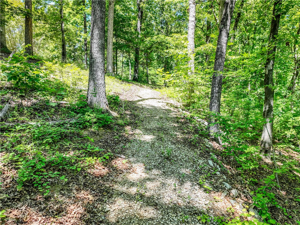 164 Wild Azalea Point Seneca, SC 29672 - Photo 19 of 31