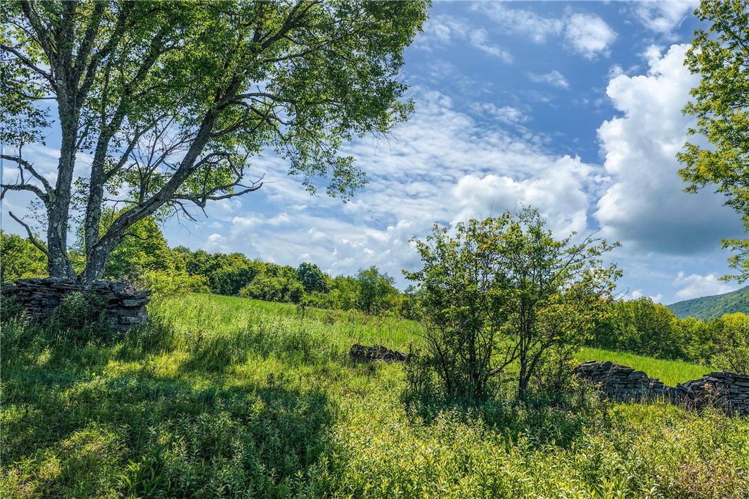 26 Federal Hill Road Delhi, NY 13753 - Photo 42 of 50