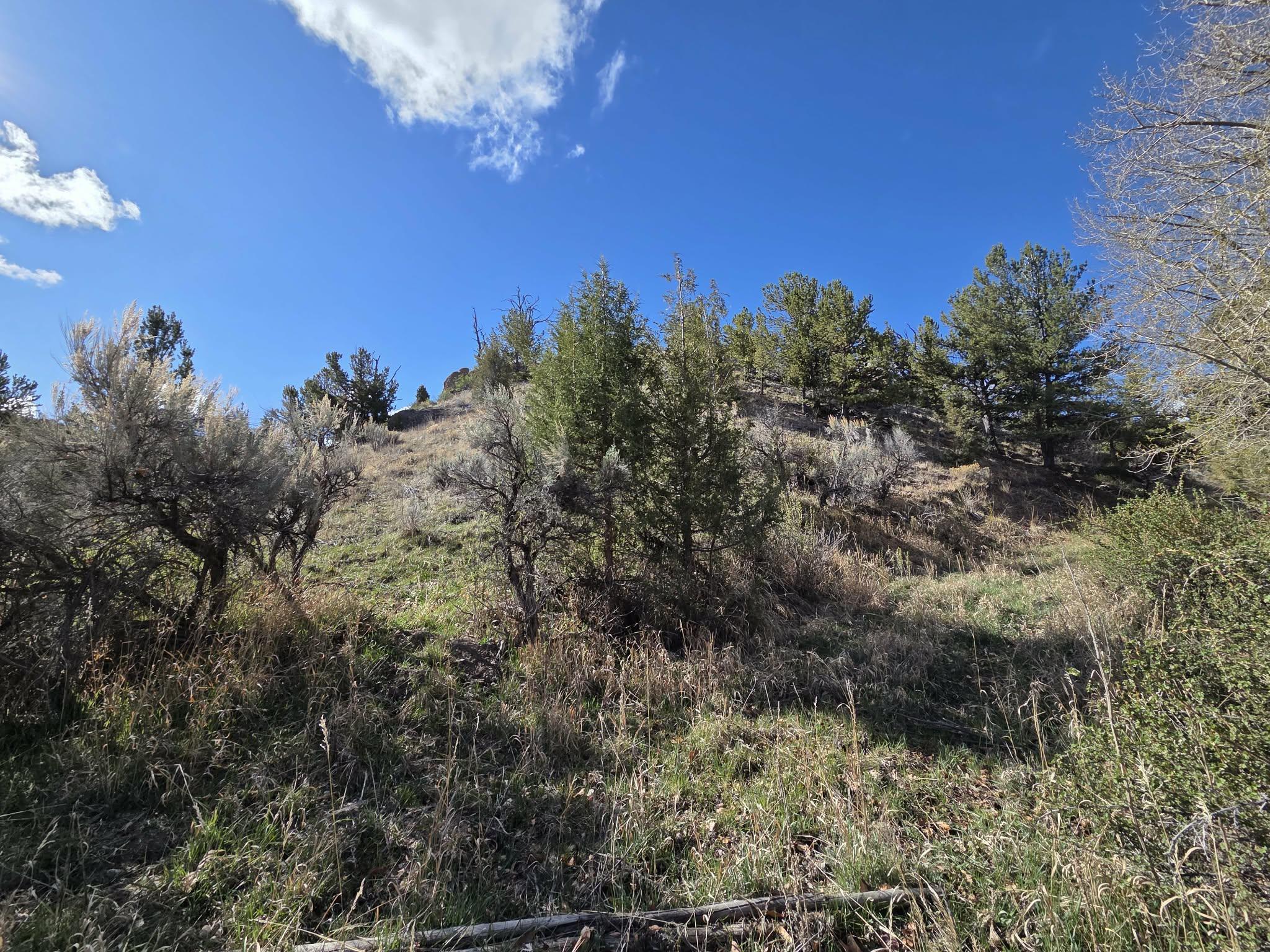 183 Bald Mountain Road Dubois, WY 82513 - Photo 41 of 48