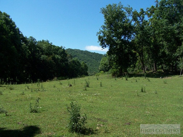 Tract #3 Tract Road Todd, NC 28684 - Photo 2 of 9 Gallery Image 2