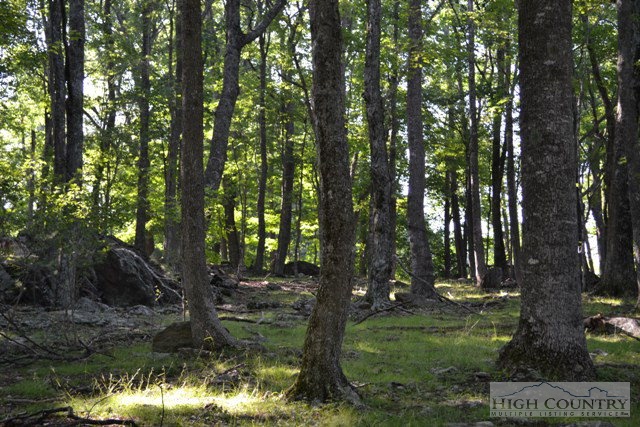 Tract #3 Tract Road Todd, NC 28684 - Photo 6 of 9 Gallery Image 6