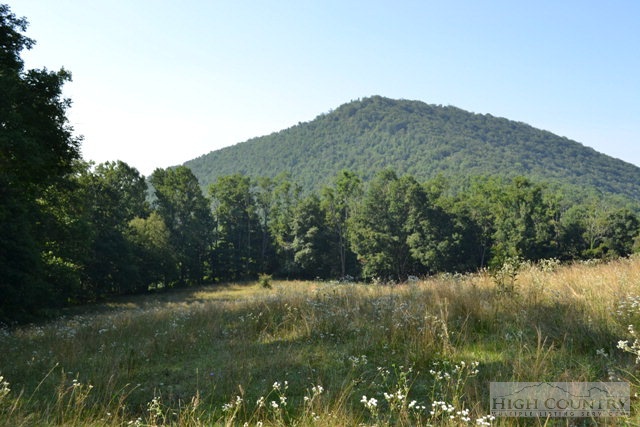 Tract #3 Tract Road Todd, NC 28684 - Photo 8 of 9 Gallery Image 8