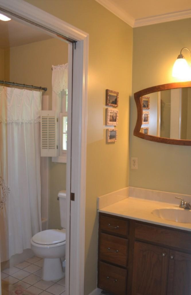15997 Green Briar Road Three Rivers, MI 49093 - Photo 21 of 29 21UpBath