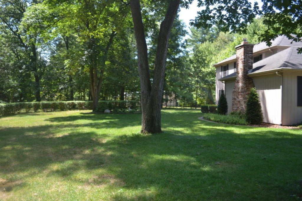 15997 Green Briar Road Three Rivers, MI 49093 - Photo 24 of 29 24Yard1