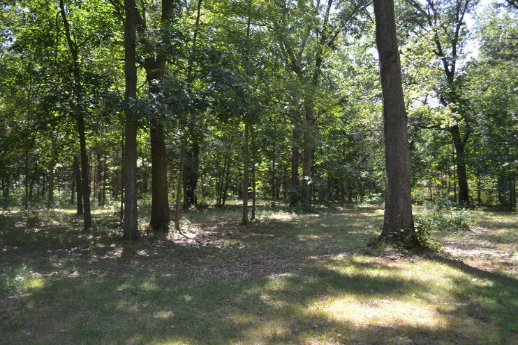 15997 Green Briar Road Three Rivers, MI 49093 - Photo 26 of 29 26Yard
