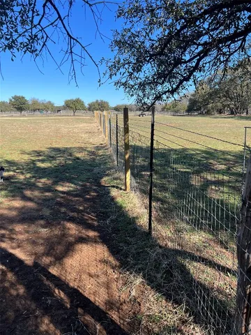 a view of a forest with a mountain in the background