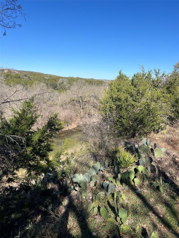 555 River Run Leander, TX 78641 - Photo 20 of 32