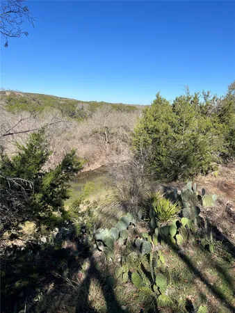 a view of tree