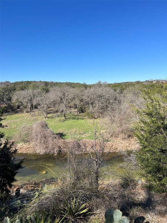 555 River Run Leander, TX 78641 - Photo 21 of 32 a view of a lake with tall trees