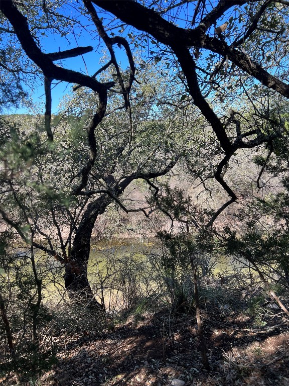 555 River Run Leander, TX 78641 - Photo 23 of 32 a view of under a tree