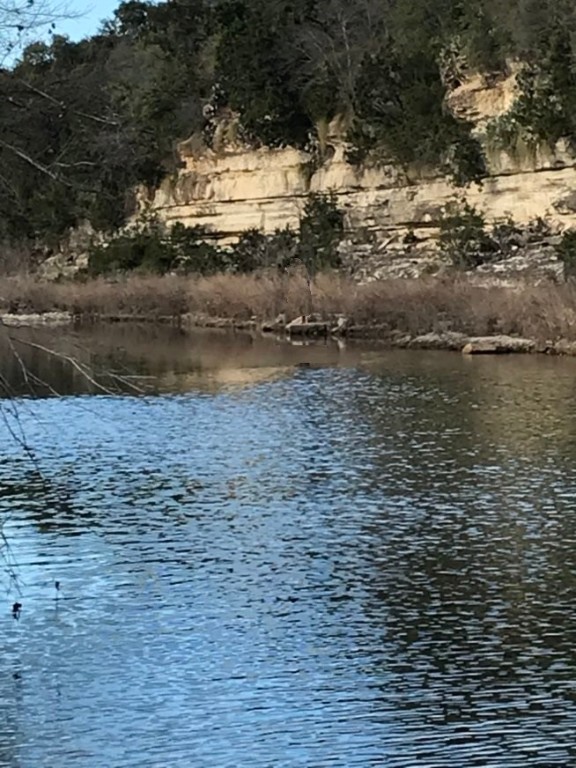 555 River Run Leander, TX 78641 - Photo 3 of 32