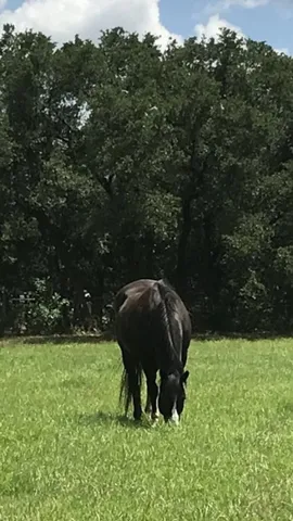 a view of lake with mountain