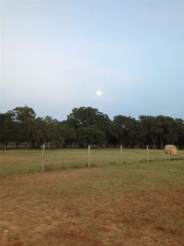 a view of a yard with lots of trees